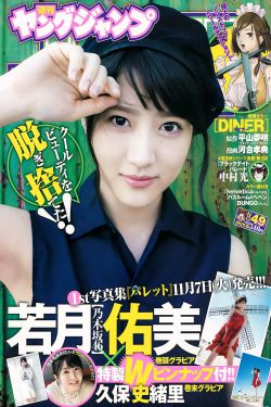 杨门女将三级版dvd